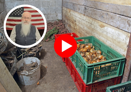 Military plan for an easy cellar