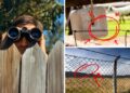 Fences not good for your home because of looters