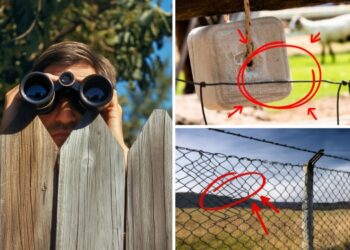 Fences not good for your home because of looters