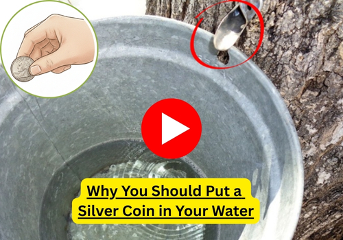 BIG coin silver banner