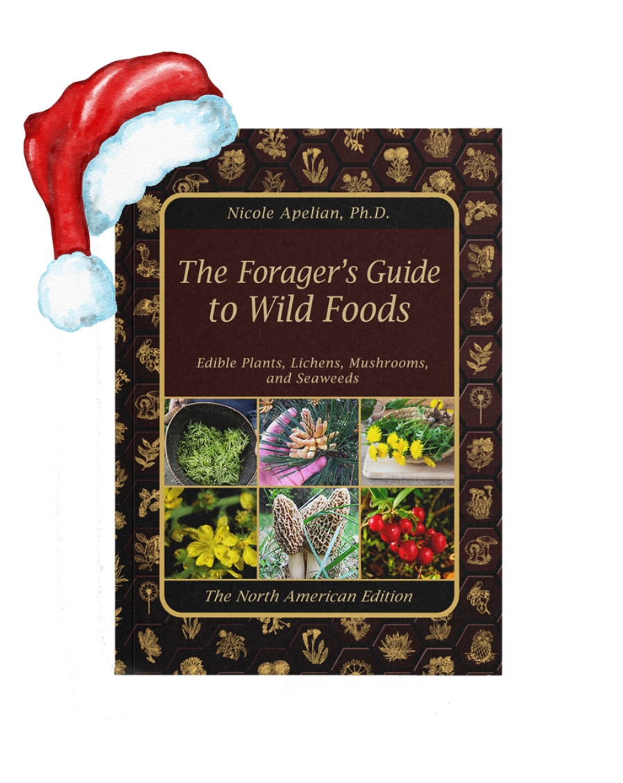 Forager's Guide