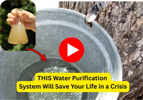 Wilderness Banner Water Sustem