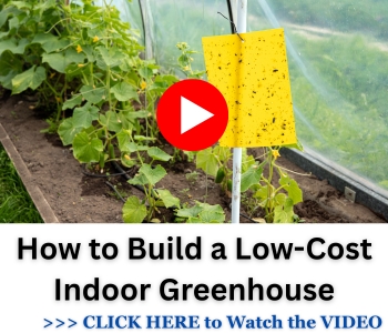 indoor greenhouse NGP