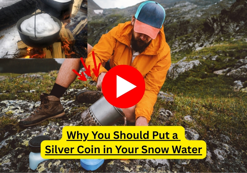 snow melting banner silver coin BIG