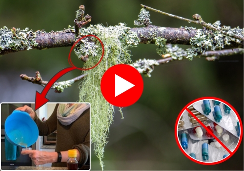 FHA banner video antibiotic grandma