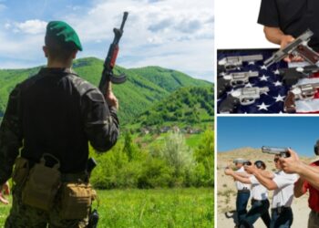 What a Green Beret Would Say About Your Guns