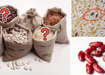 Why you shouldn't stockpile beans and rice