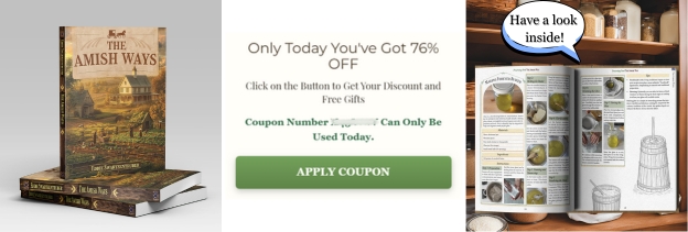 amish ways banner offer