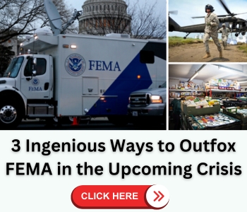 fema BIG banner
