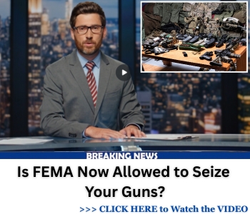 fema guns DAS