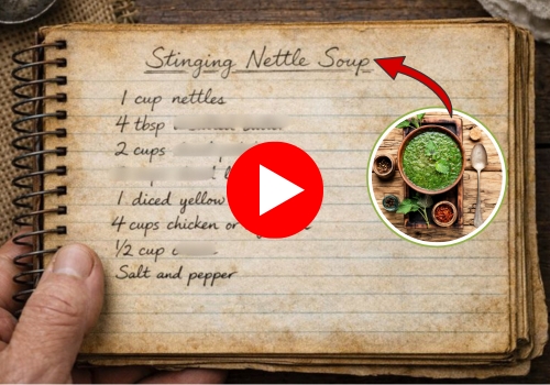 grandmas recipe book DAS banner video