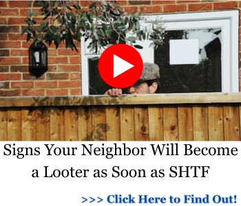 neighbour looter