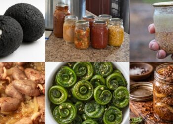 1 dollar meals for hard time