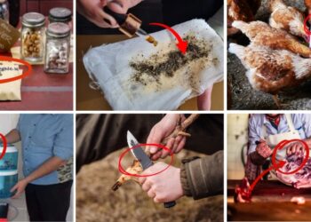 17 Great Depression Bartering Skills