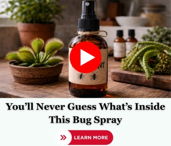 FHA recipe bug spray banner