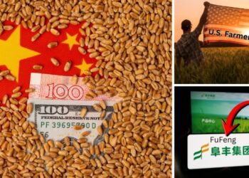 The Chinese Farms on US Soils