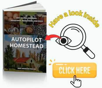 autopilot homestead banner