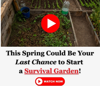 Survival garden chance