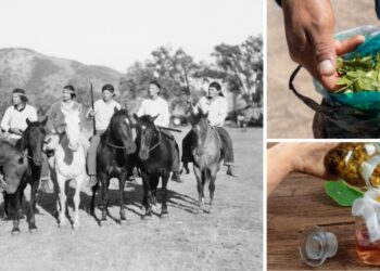 7 Native American Medicine Bag Staples You Should Use Again