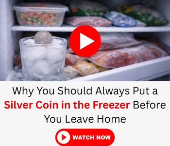 BIG silver coin banner fr