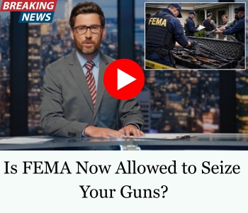 FEMA GUNS DAS