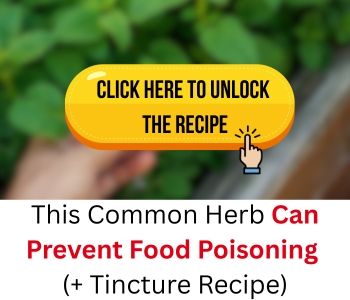 FHA banner recipe
