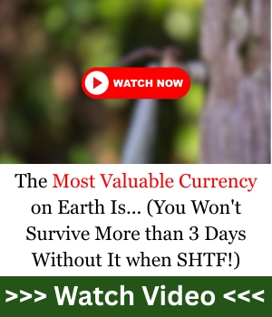 The Most Valuable Currency on Earth