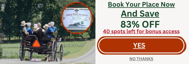 Banner presenting the Amish Ways Academy and an 83% discount