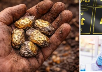 Fort Knox Is Sweating! Scientists Just Made Gold from Lead for $2 a Pound