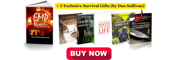 Offer for the book EMP Protocol by Dan F Sullivan plus buy now button