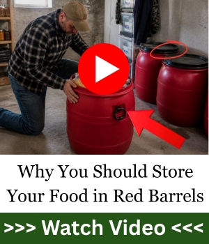 Why You Should Store Your Food in Red Barrels