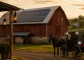 do amish use electricity